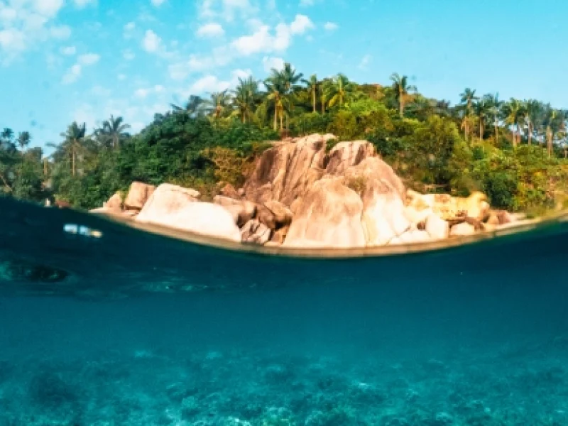under-the-sea-and-bay-at-koh-tao.webp